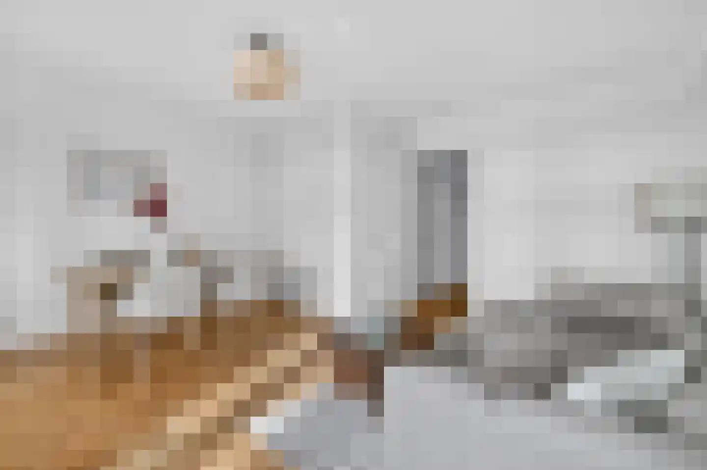 Eerste Helmersstraat 144 3 Amsterdam thumbnail 11