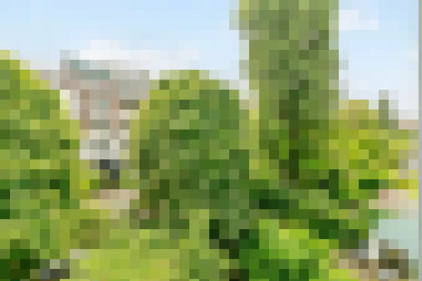 Eerste Helmersstraat 147 2A Amsterdam thumbnail 4