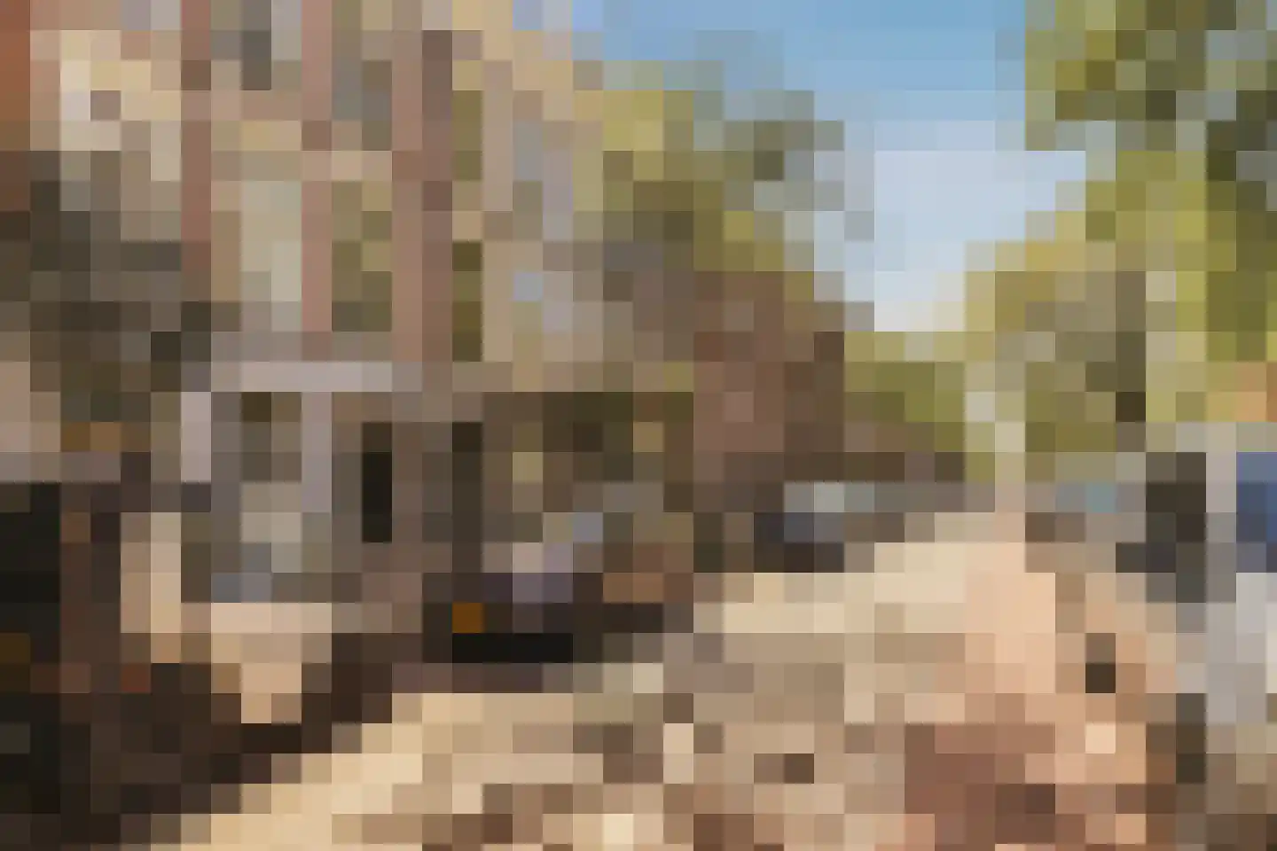 Eerste Helmersstraat 147 3V Amsterdam thumbnail 32