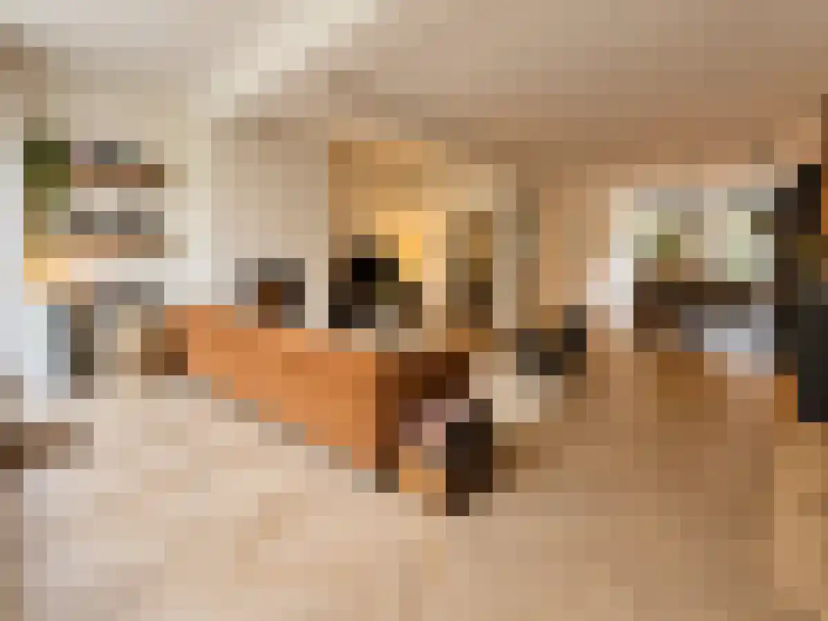 Eerste Helmersstraat 147 Amsterdam thumbnail 4