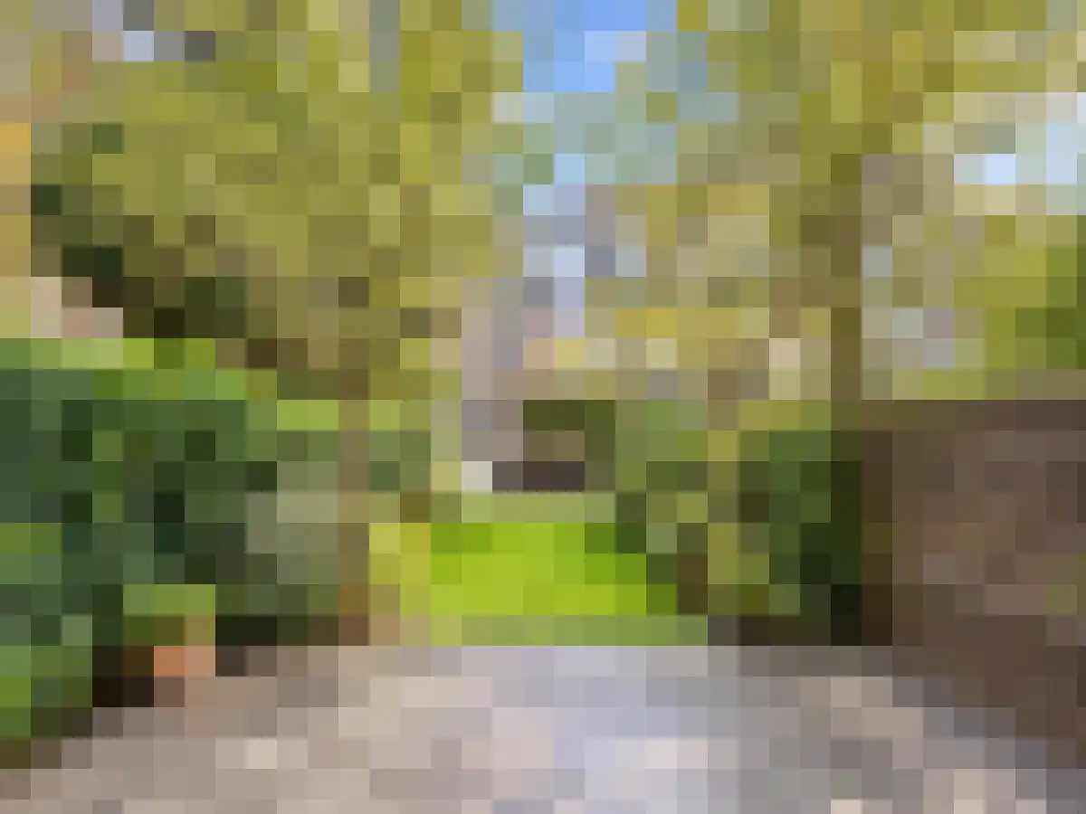 Eerste Helmersstraat 147 Amsterdam thumbnail 5