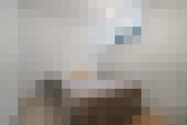 Eerste Helmersstraat 152 2 Amsterdam thumbnail 17