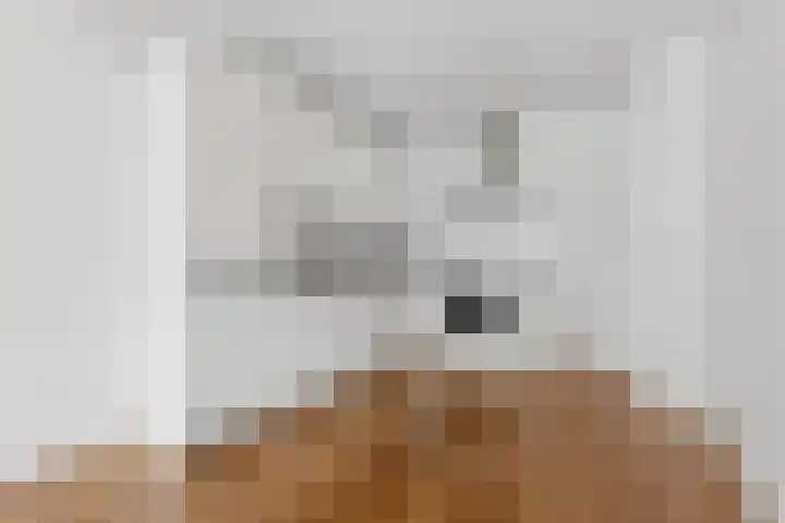 Eerste Helmersstraat 152 2 Amsterdam thumbnail 17