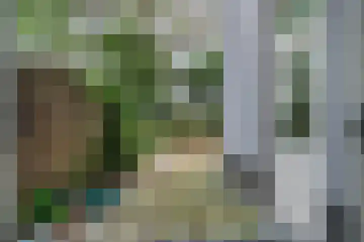Eerste Helmersstraat 152 2 Amsterdam thumbnail 27