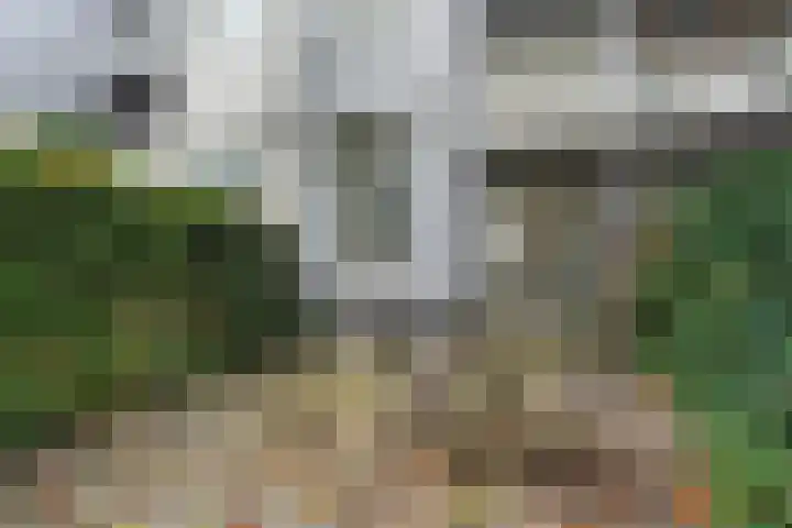 Eerste Helmersstraat 152 2 Amsterdam thumbnail 28