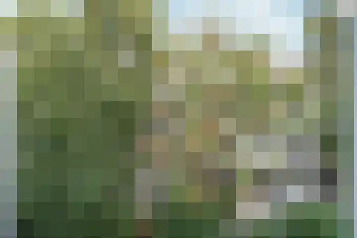 Eerste Helmersstraat 152 2 Amsterdam thumbnail 31
