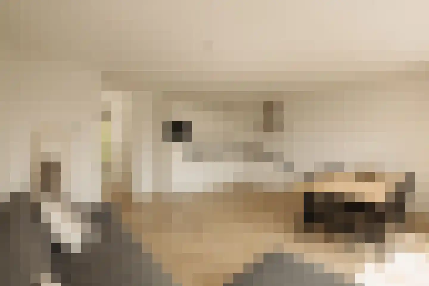 Eerste Helmersstraat 169 E Amsterdam thumbnail 6