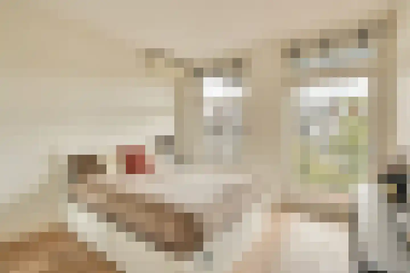 Eerste Helmersstraat 213 3 Amsterdam thumbnail 16