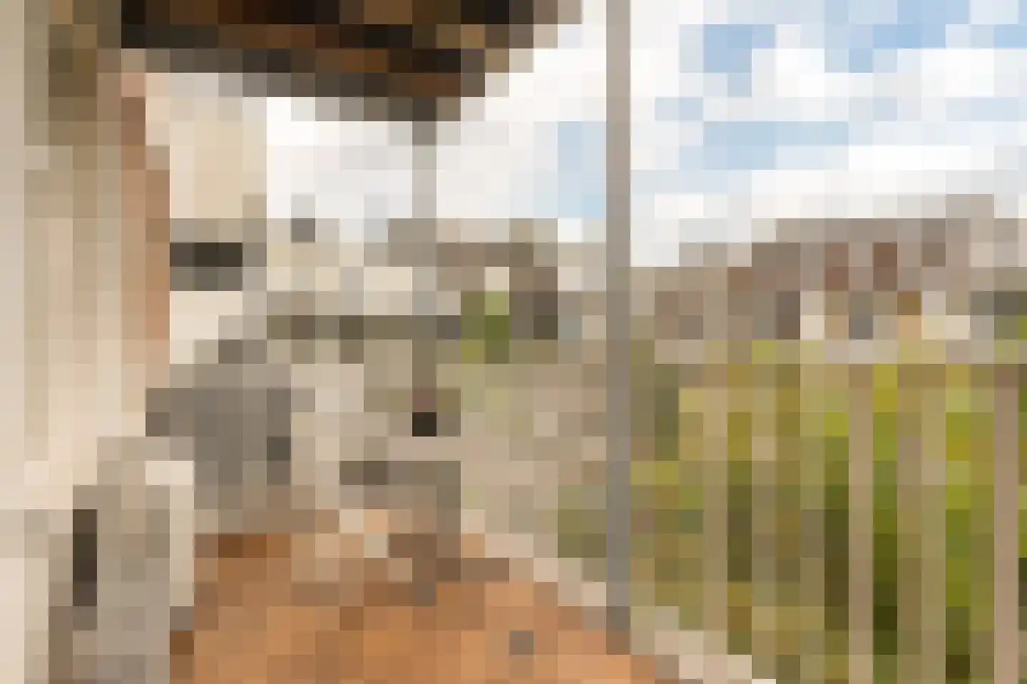 Eerste Helmersstraat 213 3 Amsterdam thumbnail 17