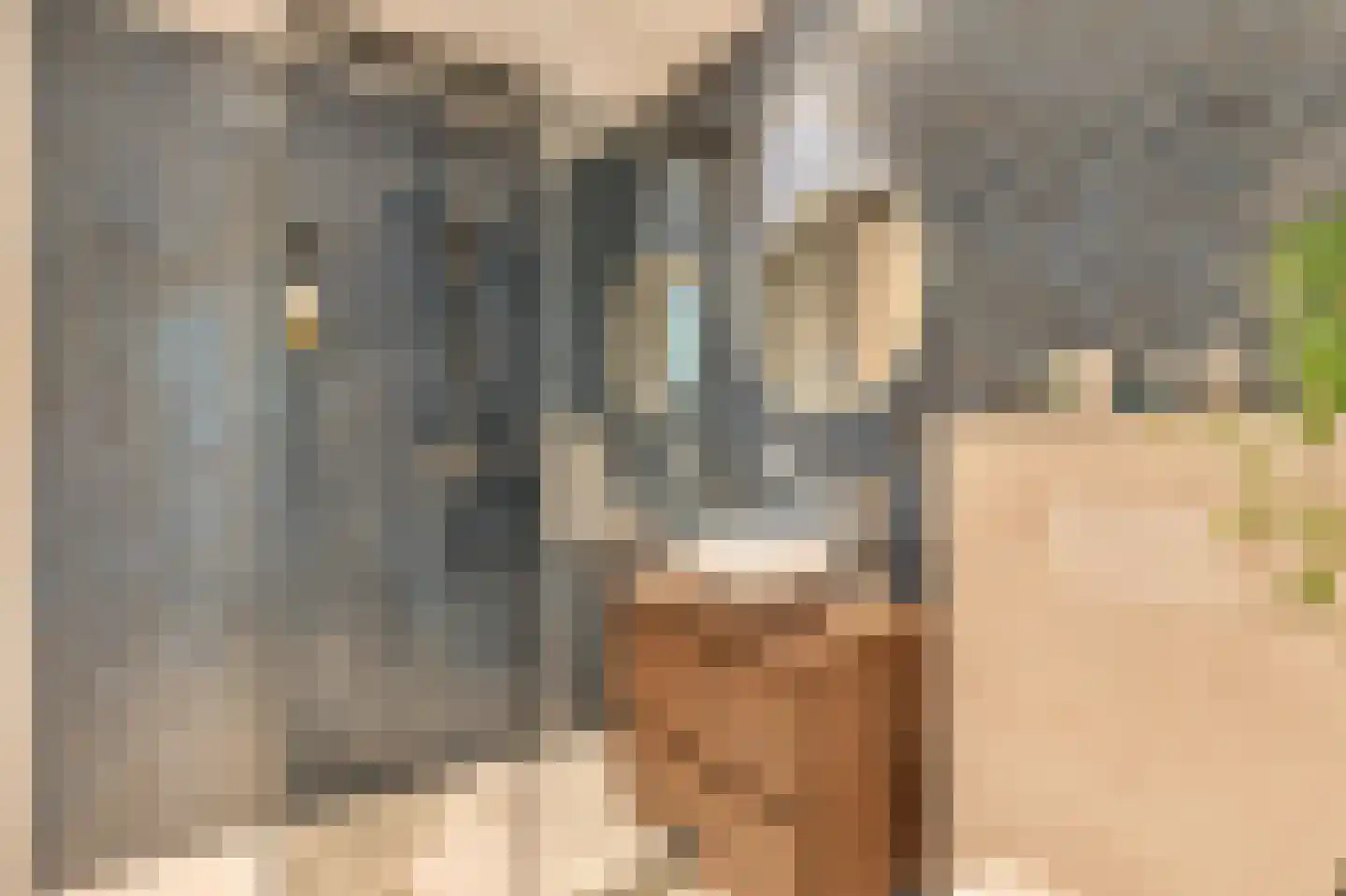 Eerste Helmersstraat 213 3 Amsterdam thumbnail 22