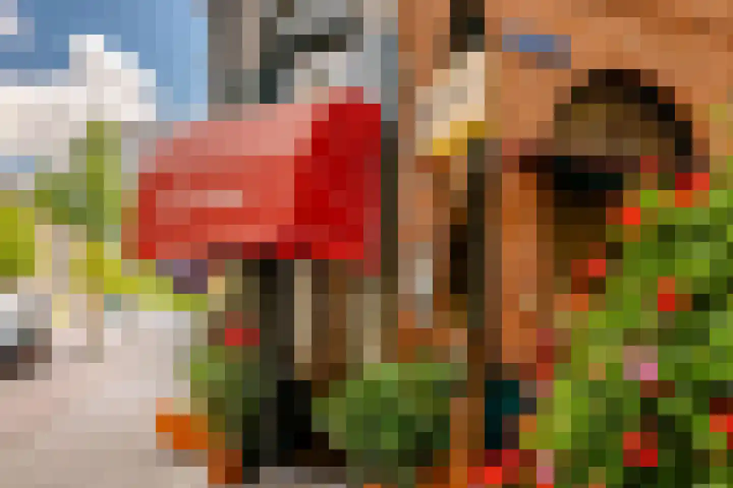 Eerste Helmersstraat 213 3 Amsterdam thumbnail 26