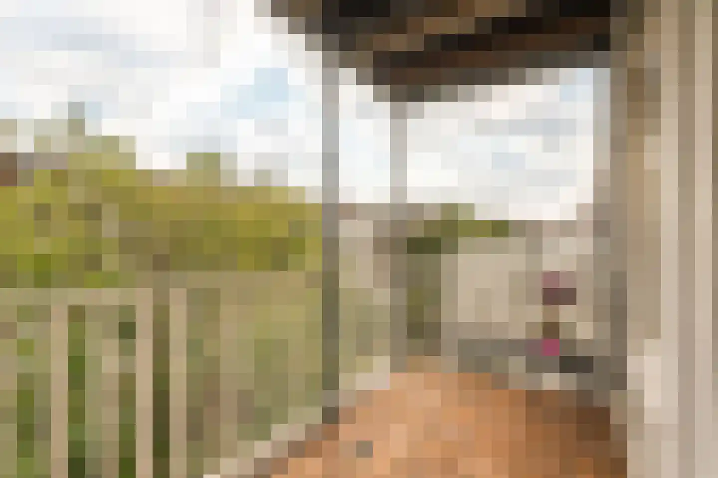 Eerste Helmersstraat 213 3 Amsterdam thumbnail 4
