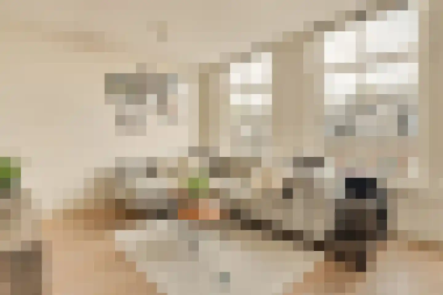 Eerste Helmersstraat 213 3 Amsterdam thumbnail 6