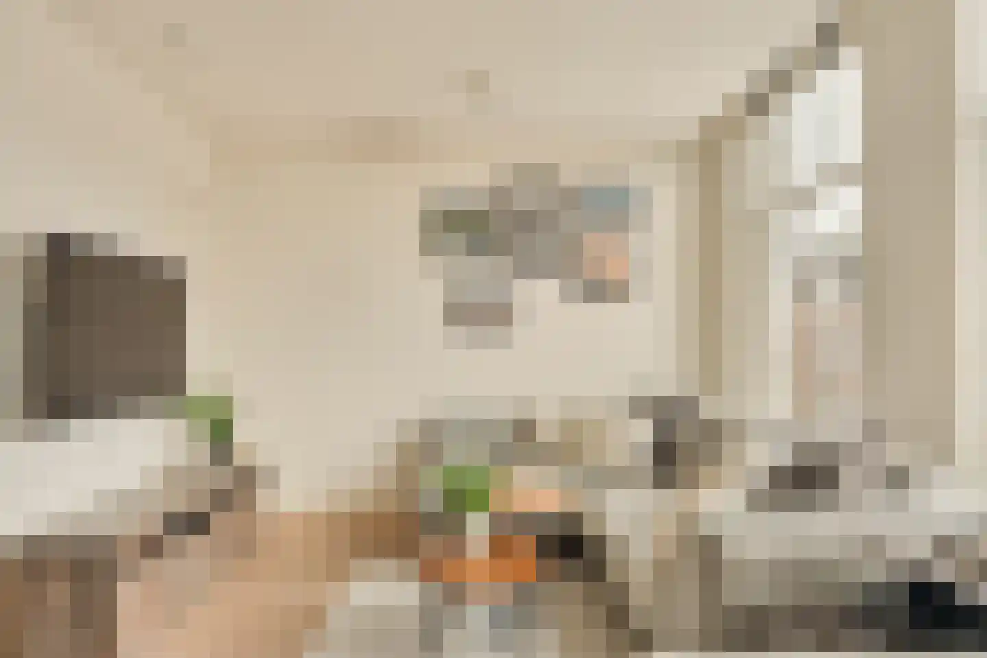 Eerste Helmersstraat 213 3 Amsterdam thumbnail 8