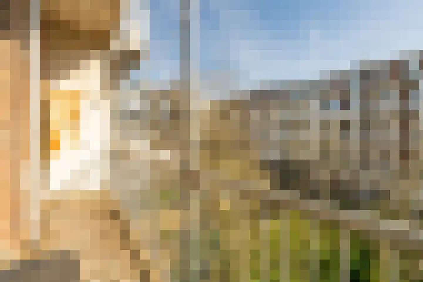 Eerste Helmersstraat 217 2 Amsterdam thumbnail 14