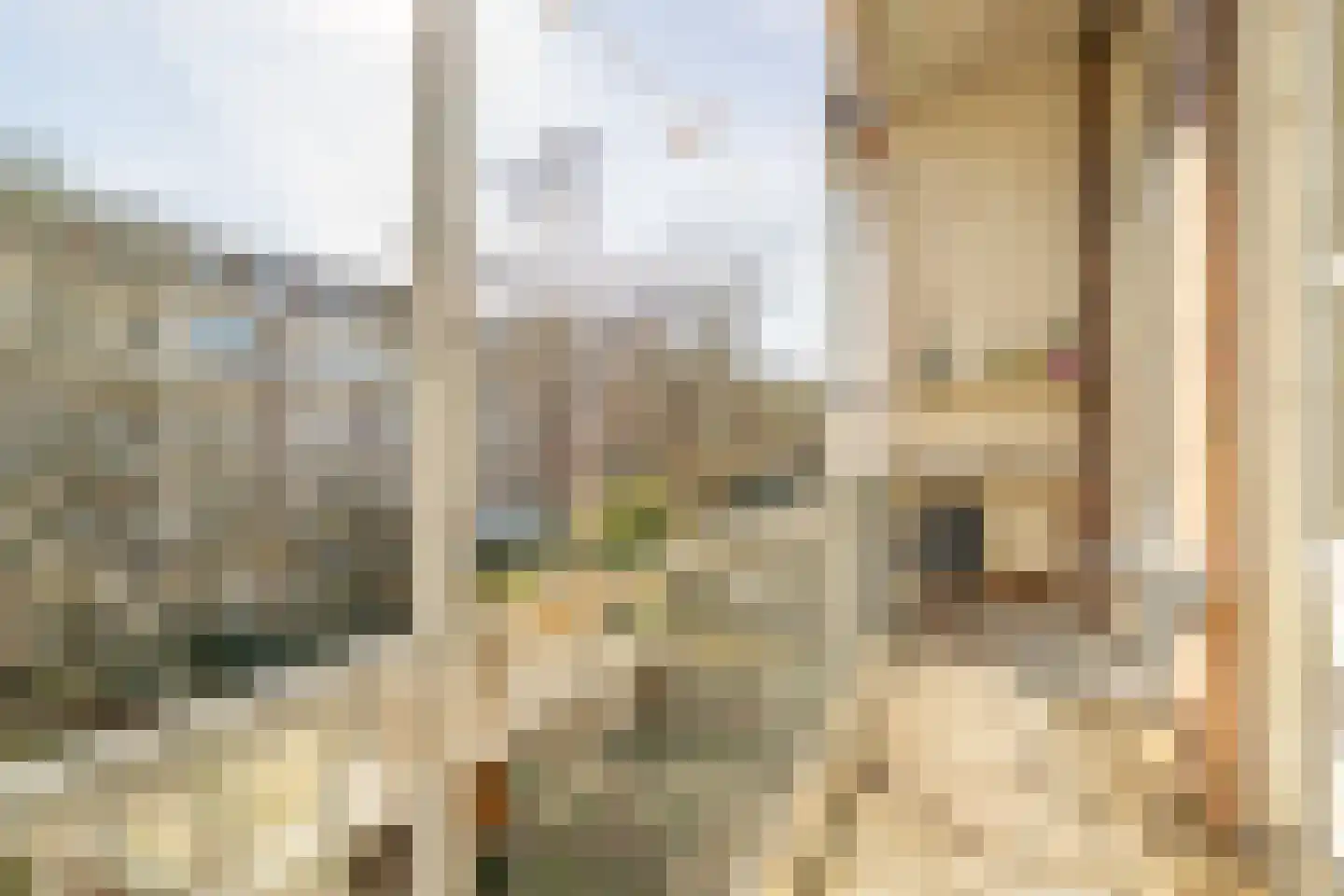 Eerste Helmersstraat 217 2 Amsterdam thumbnail 15