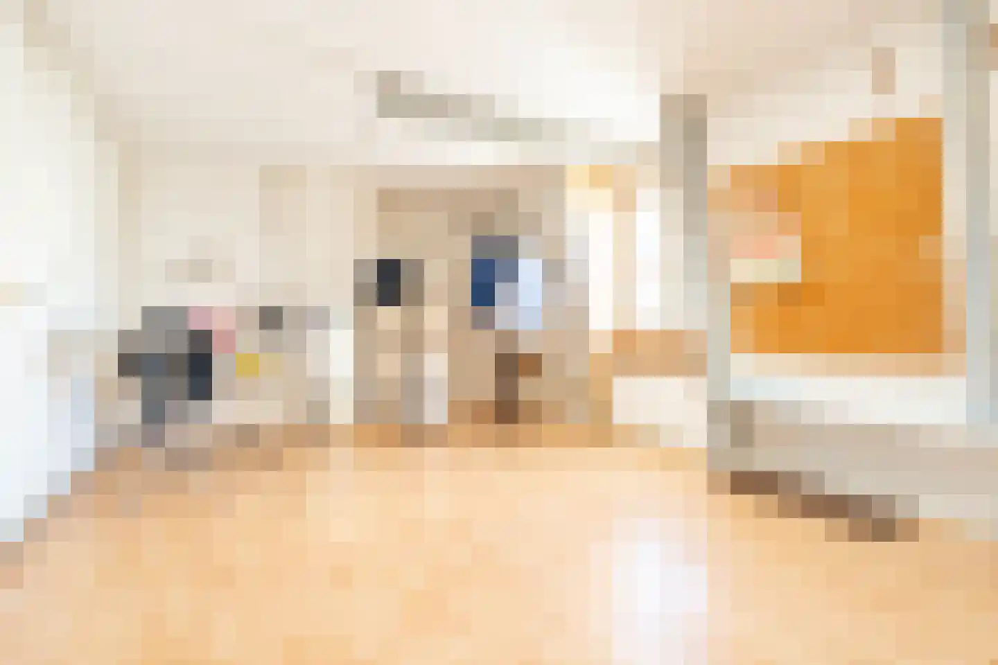 Eerste Helmersstraat 217 2 Amsterdam thumbnail 21