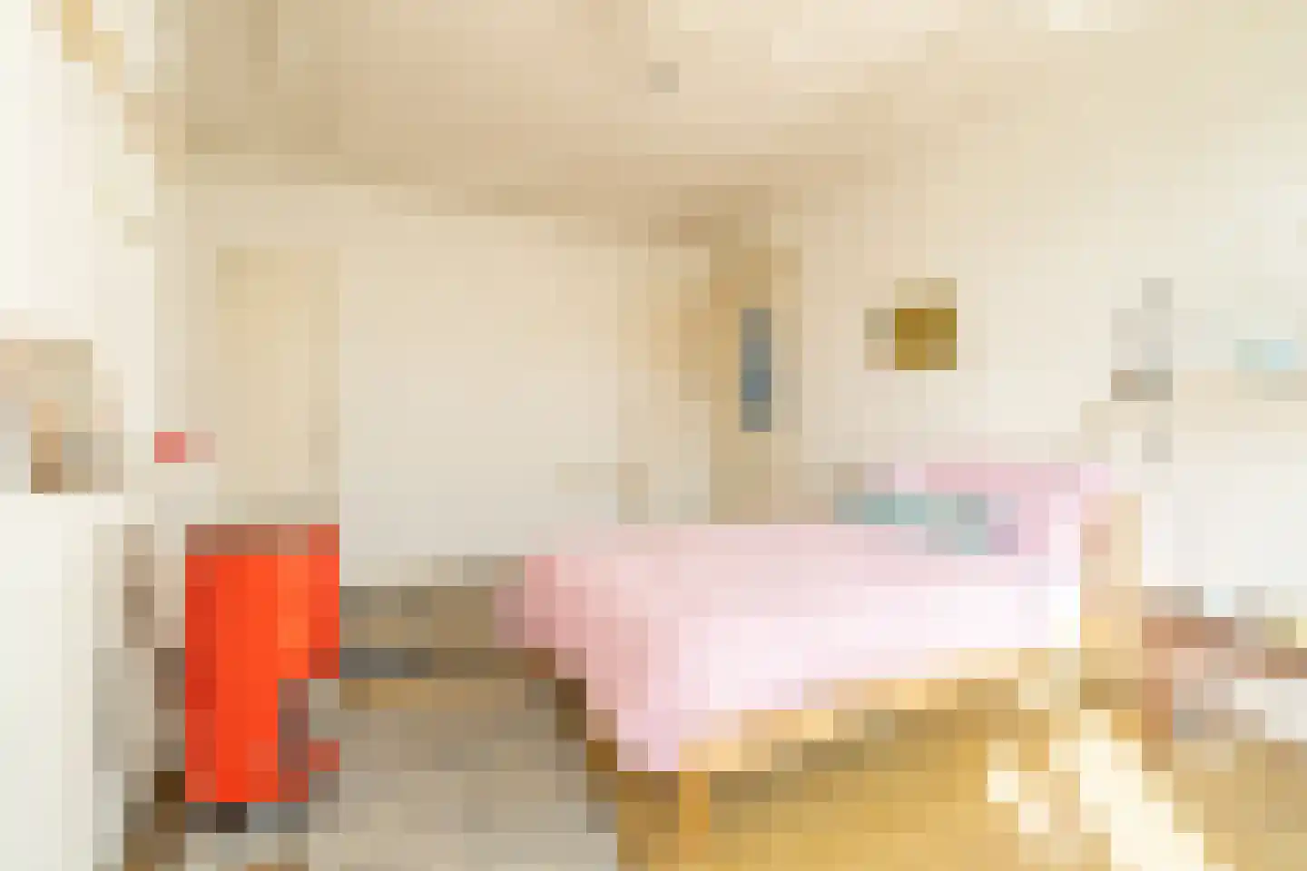Eerste Helmersstraat 217 2 Amsterdam thumbnail 23
