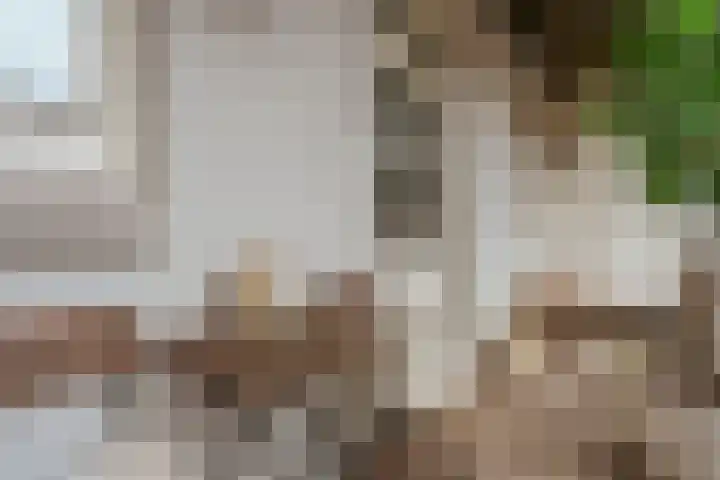 Eerste Helmersstraat 218 1 Amsterdam thumbnail 4