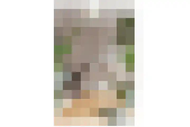 Eerste Helmersstraat 218 1 Amsterdam thumbnail 9