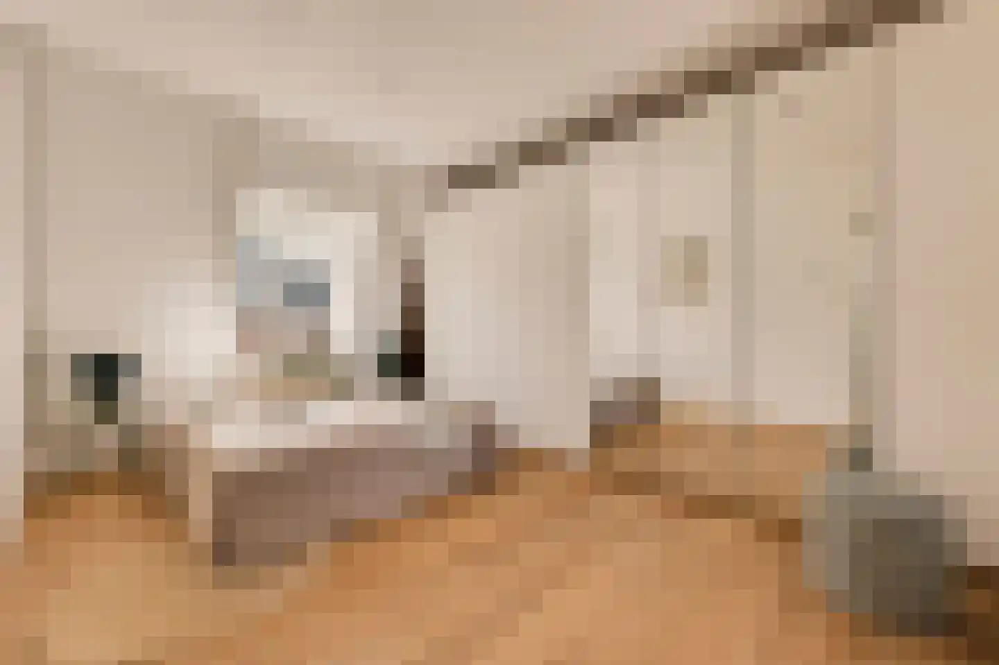 Eerste Helmersstraat 218 3 Amsterdam thumbnail 26