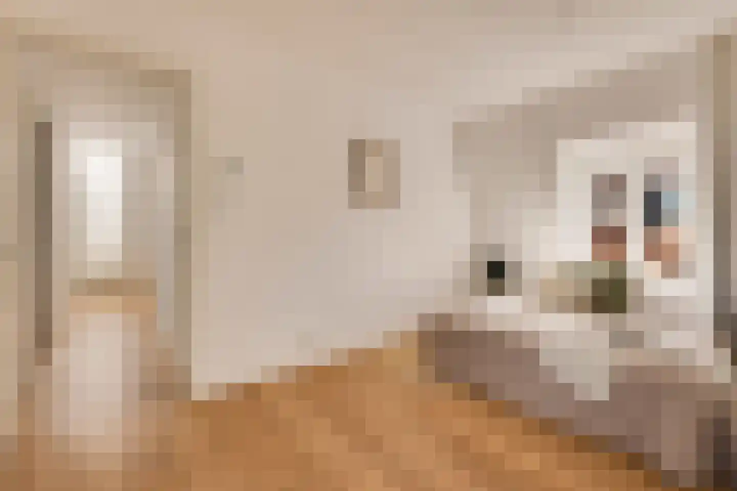 Eerste Helmersstraat 218 3 Amsterdam thumbnail 27