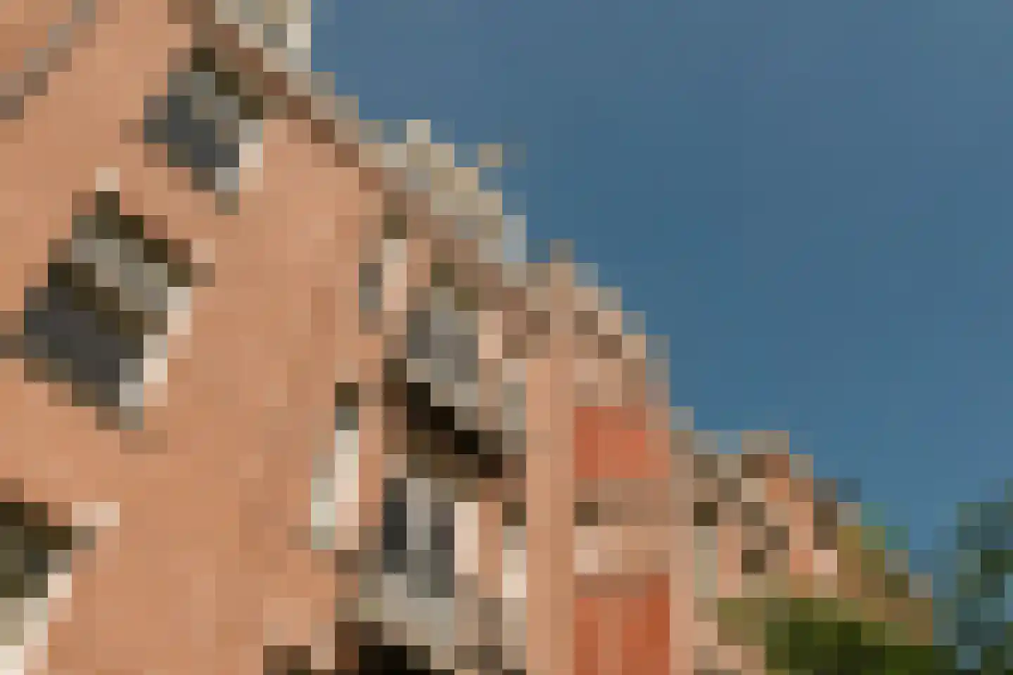 Eerste Helmersstraat 218 3 Amsterdam thumbnail 50