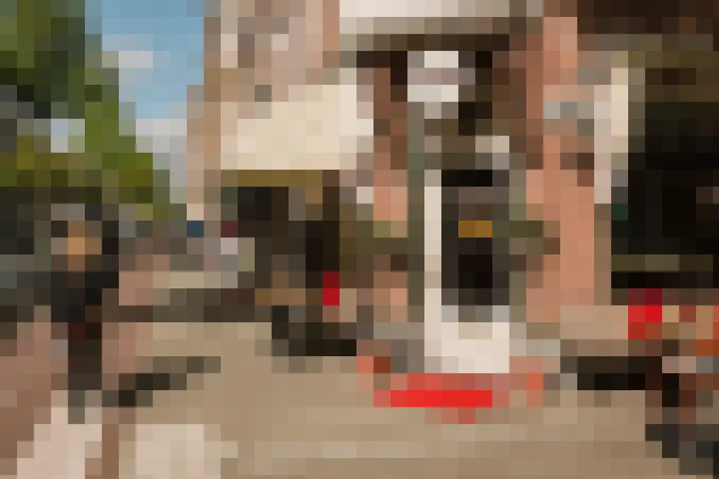 Eerste Helmersstraat 218 3 Amsterdam thumbnail 53