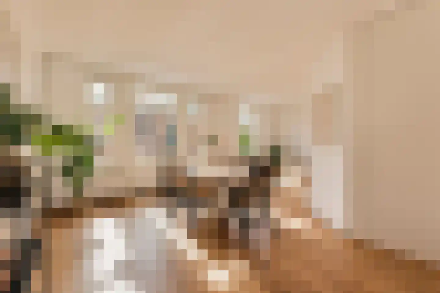 Eerste Helmersstraat 218 3 Amsterdam thumbnail 8