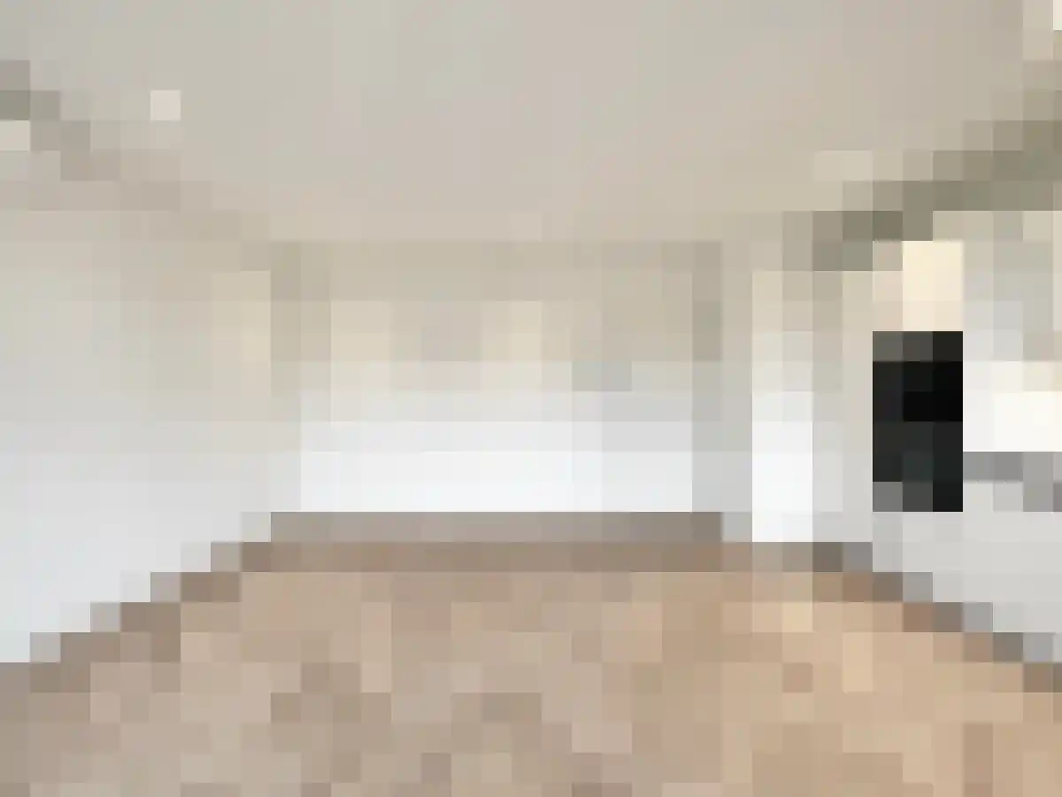 Eerste Helmersstraat 219 Amsterdam thumbnail 6