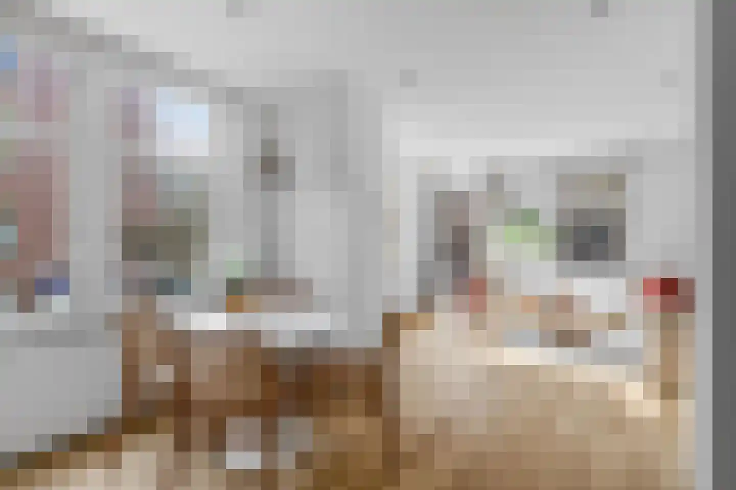 Eerste Helmersstraat 220 2 Amsterdam thumbnail 12