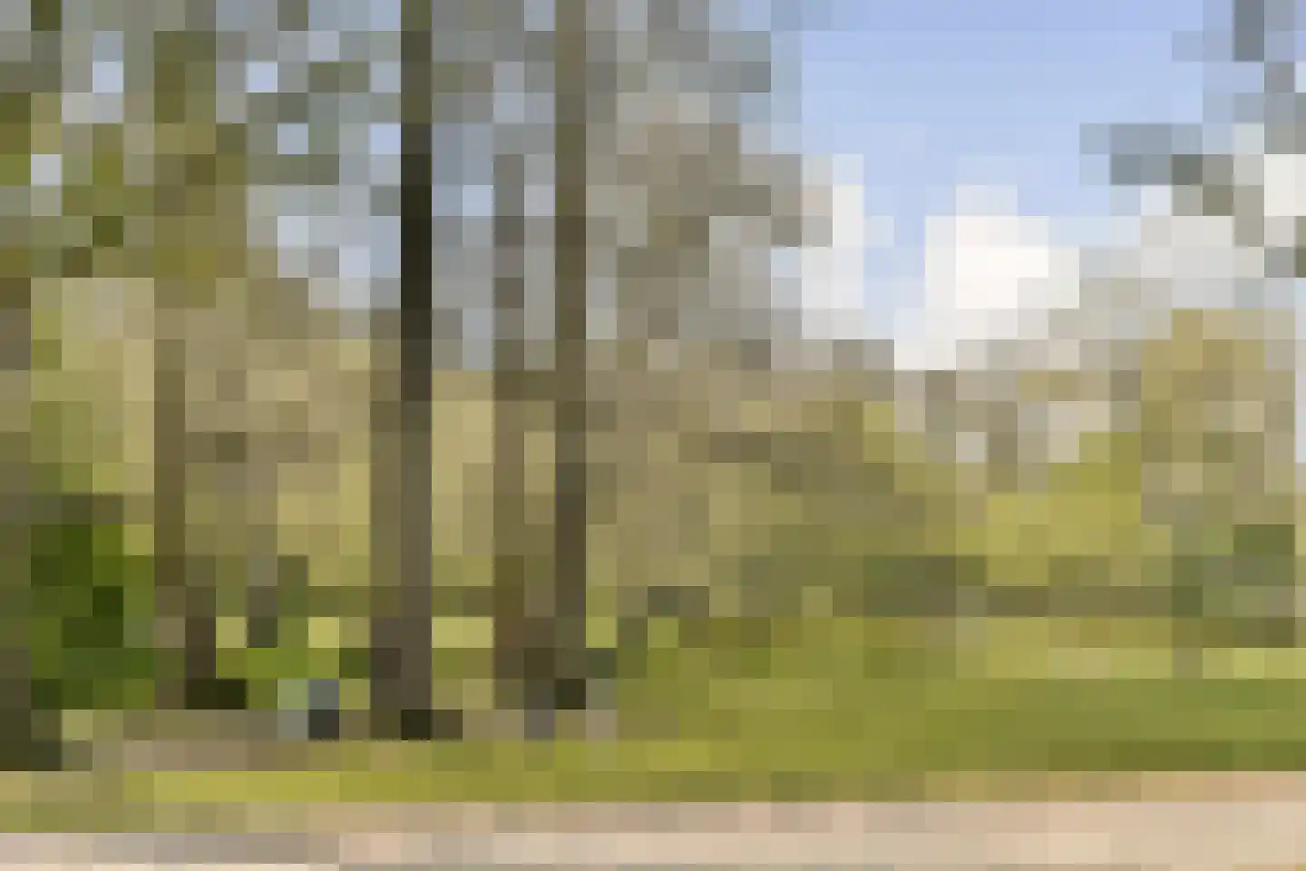 Eerste Helmersstraat 239 2 Amsterdam thumbnail 22