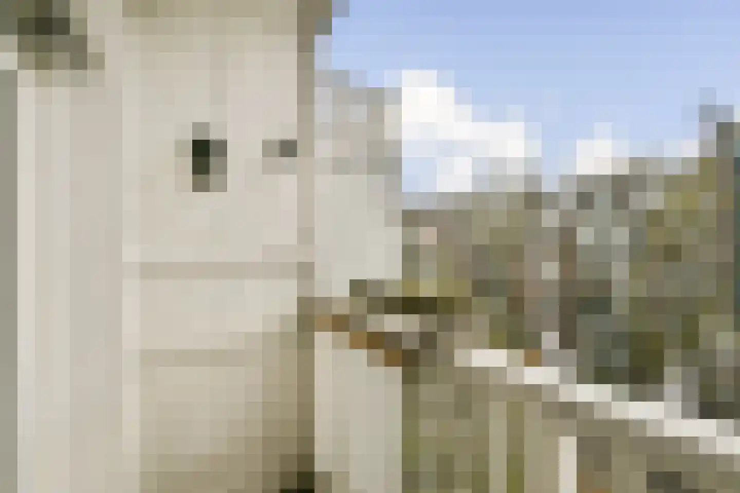 Eerste Helmersstraat 239 2 Amsterdam thumbnail 9