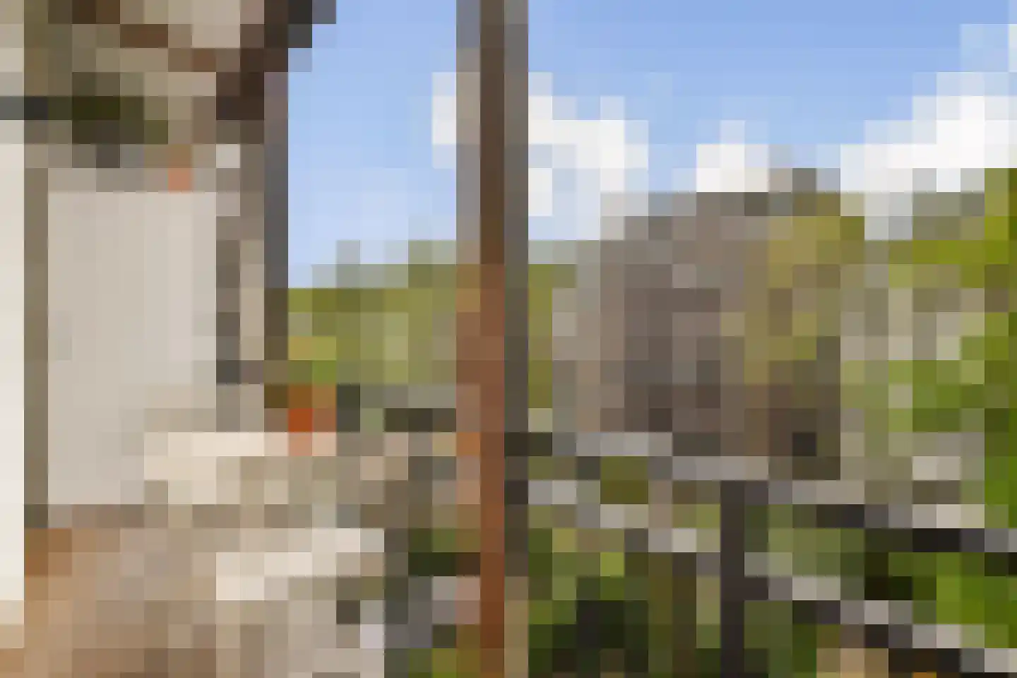 Eerste Helmersstraat 243 1 Amsterdam thumbnail 16