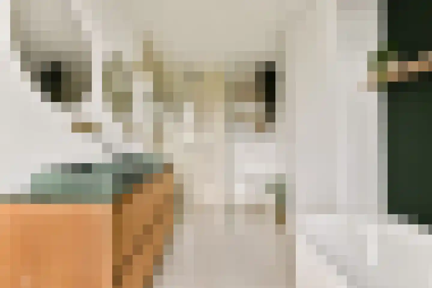 Eerste Helmersstraat 243 1 Amsterdam thumbnail 24