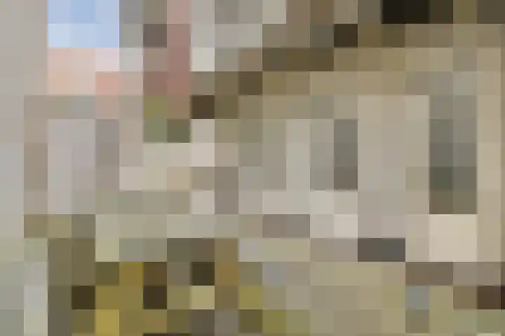 Eerste Helmersstraat 251 2 Amsterdam thumbnail 16
