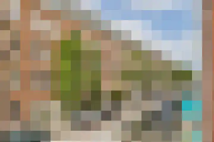 Eerste Helmersstraat 251 2 Amsterdam thumbnail 8