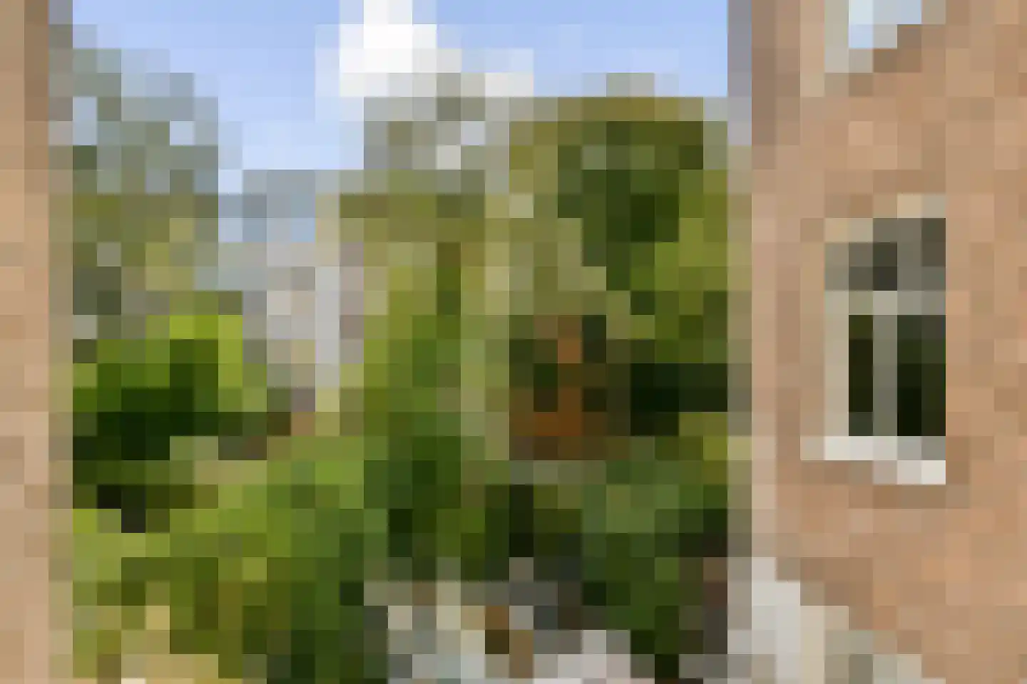 Eerste Helmersstraat 273 1 Amsterdam thumbnail 13