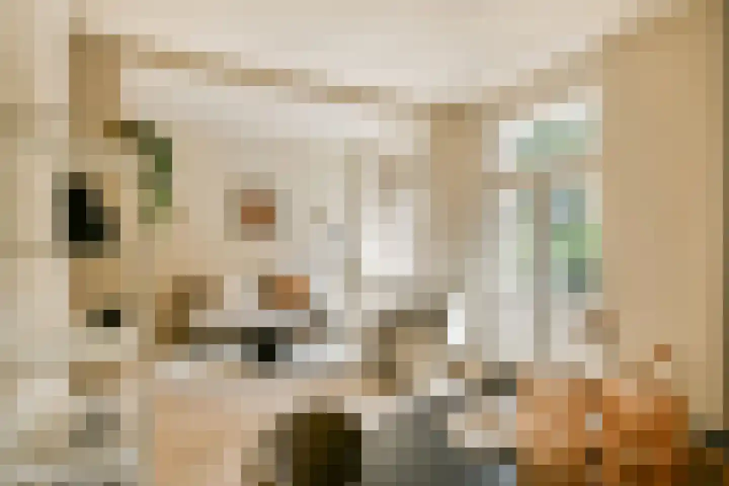 Eerste Helmersstraat 273 1 Amsterdam thumbnail 5