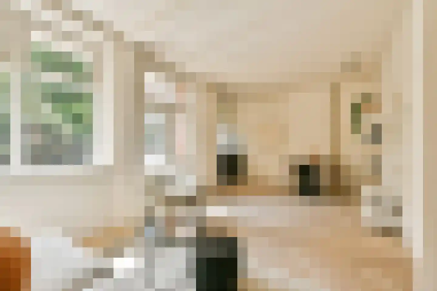 Eerste Helmersstraat 273 1 Amsterdam thumbnail 7