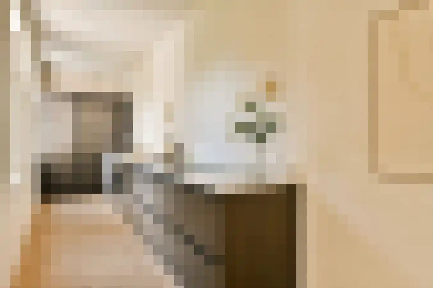 Eerste Helmersstraat 273 1 Amsterdam thumbnail 9