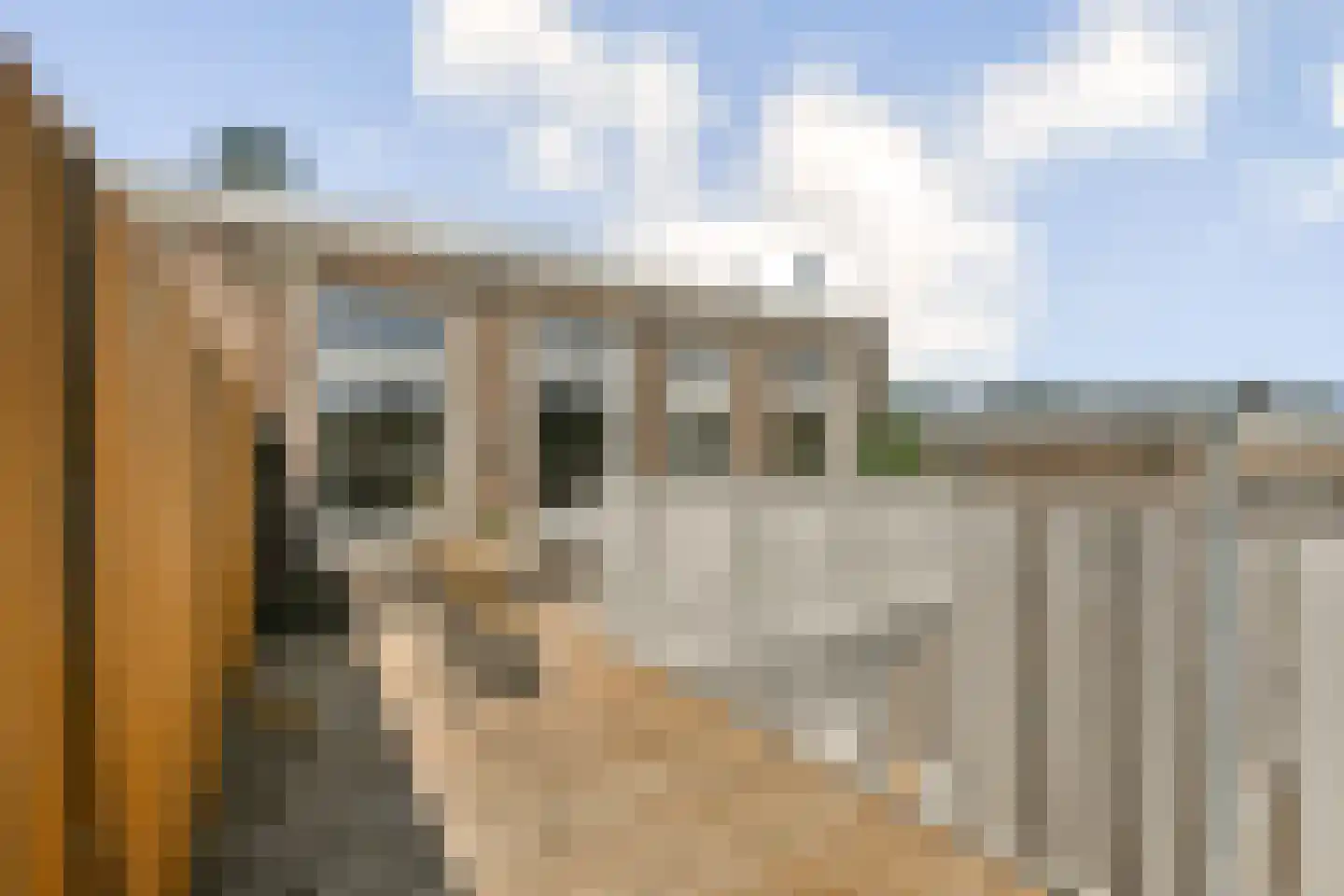 Eerste Helmersstraat 273 4 Amsterdam thumbnail 11