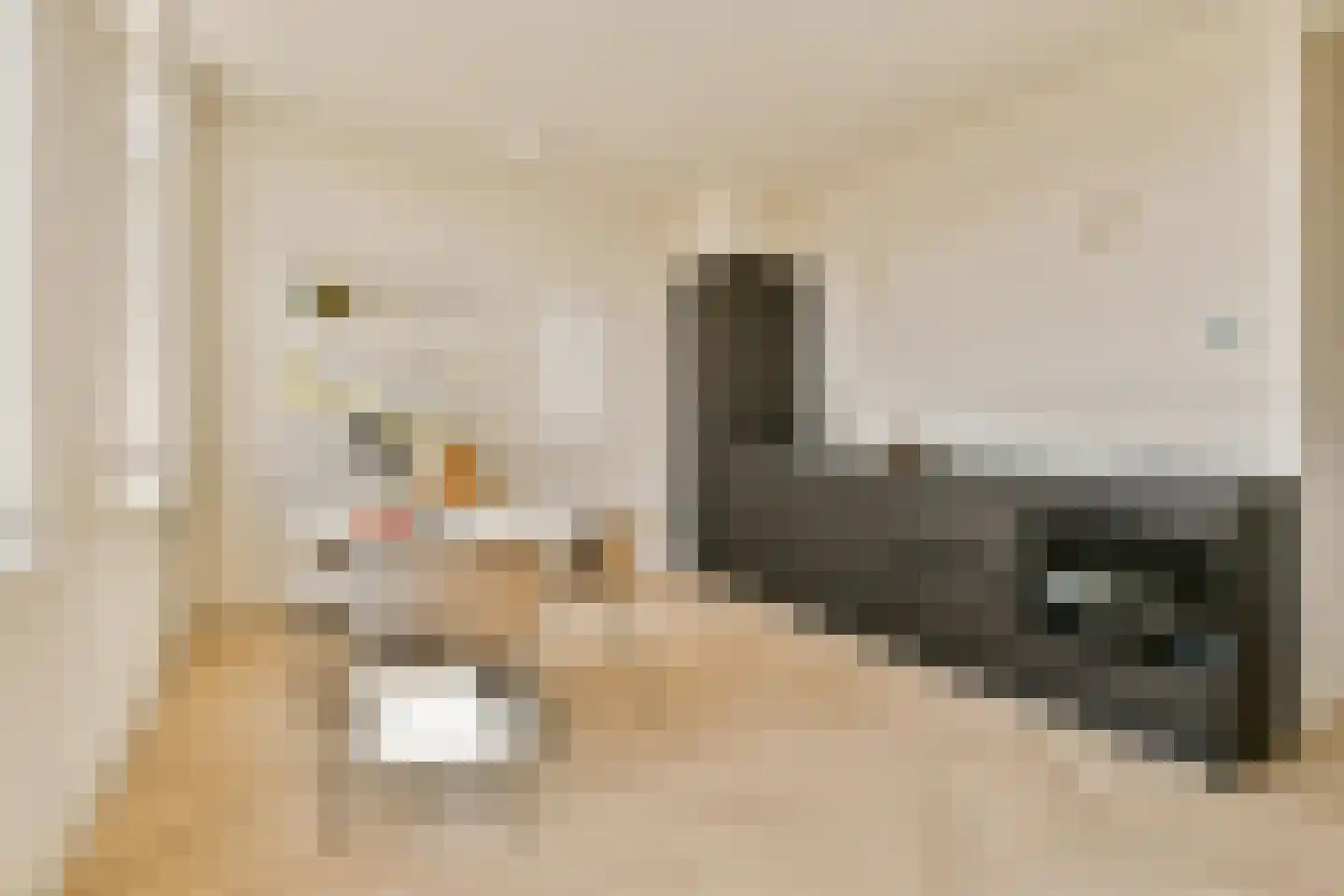 Eerste Helmersstraat 273 4 Amsterdam thumbnail 8