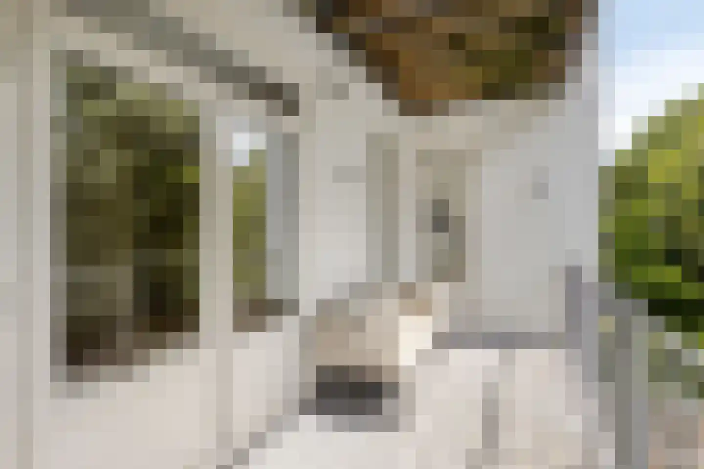 Eerste Helmersstraat 289 2 Amsterdam thumbnail 27