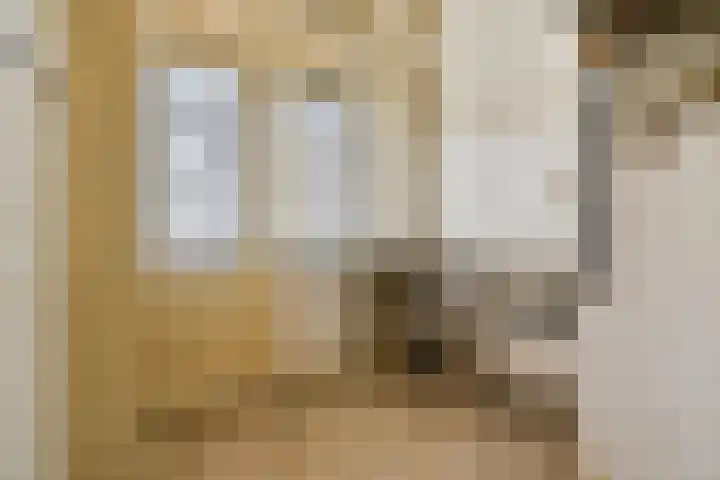 Eerste Helmersstraat 29 2 Amsterdam thumbnail 13