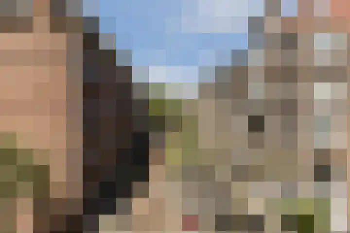 Eerste Helmersstraat 29 2 Amsterdam thumbnail 18
