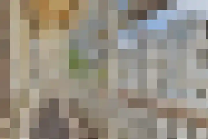 Eerste Helmersstraat 29 2 Amsterdam thumbnail 8