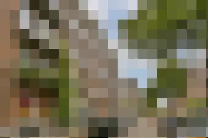 Eerste Helmersstraat 309 3 Amsterdam thumbnail 27