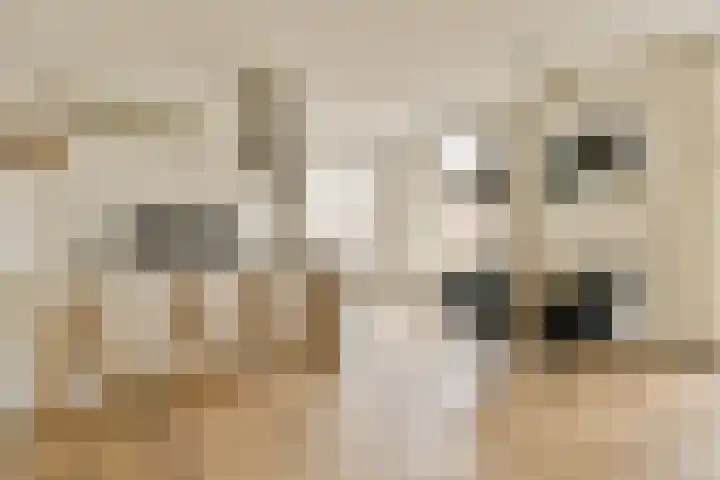 Eerste Helmersstraat 309 3 Amsterdam thumbnail 9