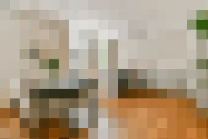Eerste Helmersstraat 309 3 Amsterdam thumbnail 9